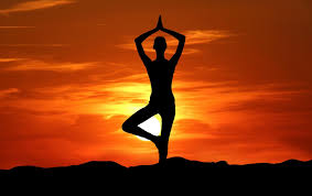 Online health and yoga classes for beginners
